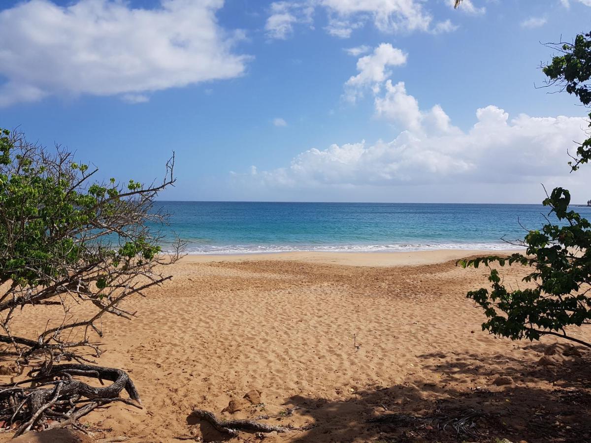 L'Aurielle, Tout Le Confort A 500M De La Plage Sainte-Rose Buitenkant foto