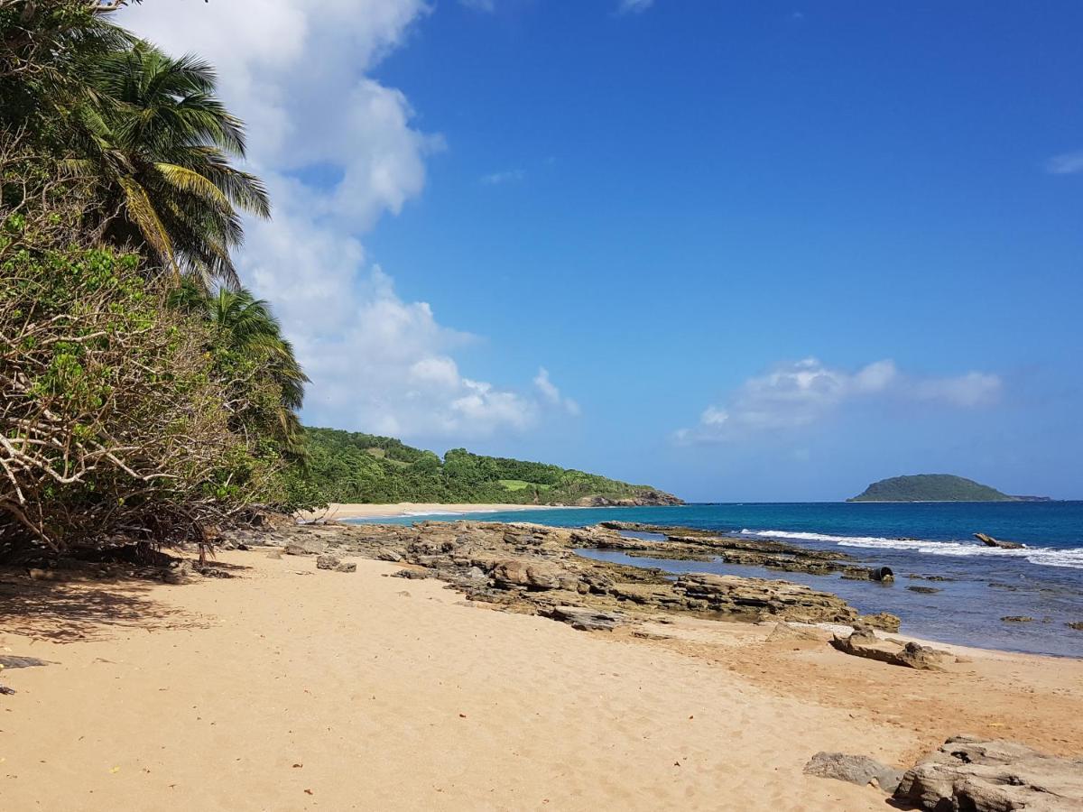 L'Aurielle, Tout Le Confort A 500M De La Plage Sainte-Rose Buitenkant foto